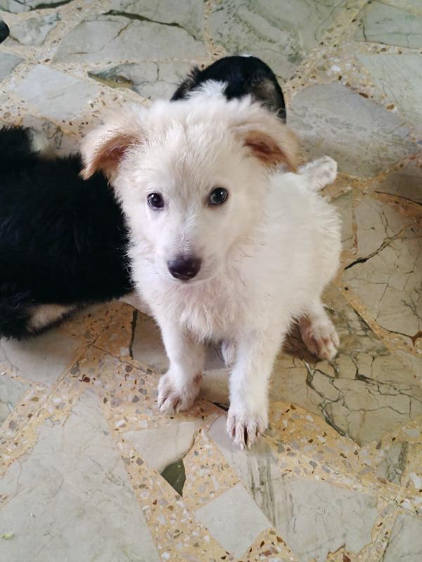 Oliver  Foto 5