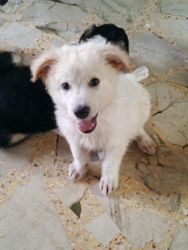 Oliver  Foto 6