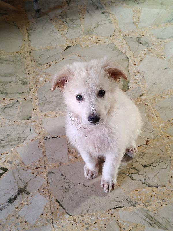 Oliver  Foto 7
