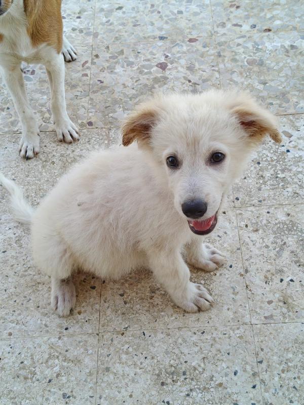 Oliver 3 Mesi