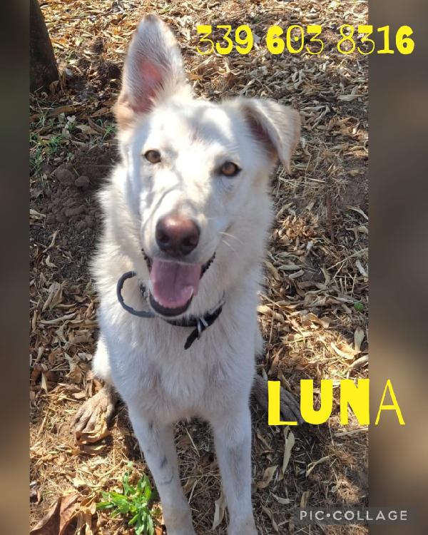 Luna 🌜un anno Foto 6