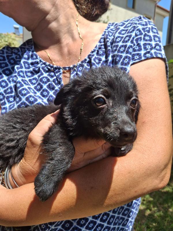 Moka, due mesi, bellissima Foto 2