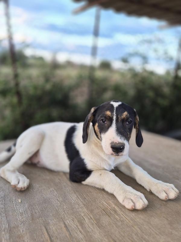5Mesi Dopo 7Giorni Nn Lo Vogliono +!! Urgente Desio/ Brianza
