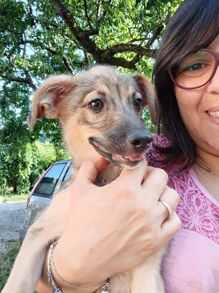 💖🐾 Camilla dolcissima cucciola taglia medio piccola in adozione - media 4