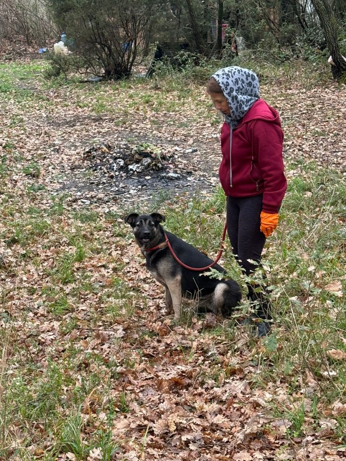 💖🐾 SASHA DOLCISSIMA CAGNOLINA IN ADOZIONE - media 4