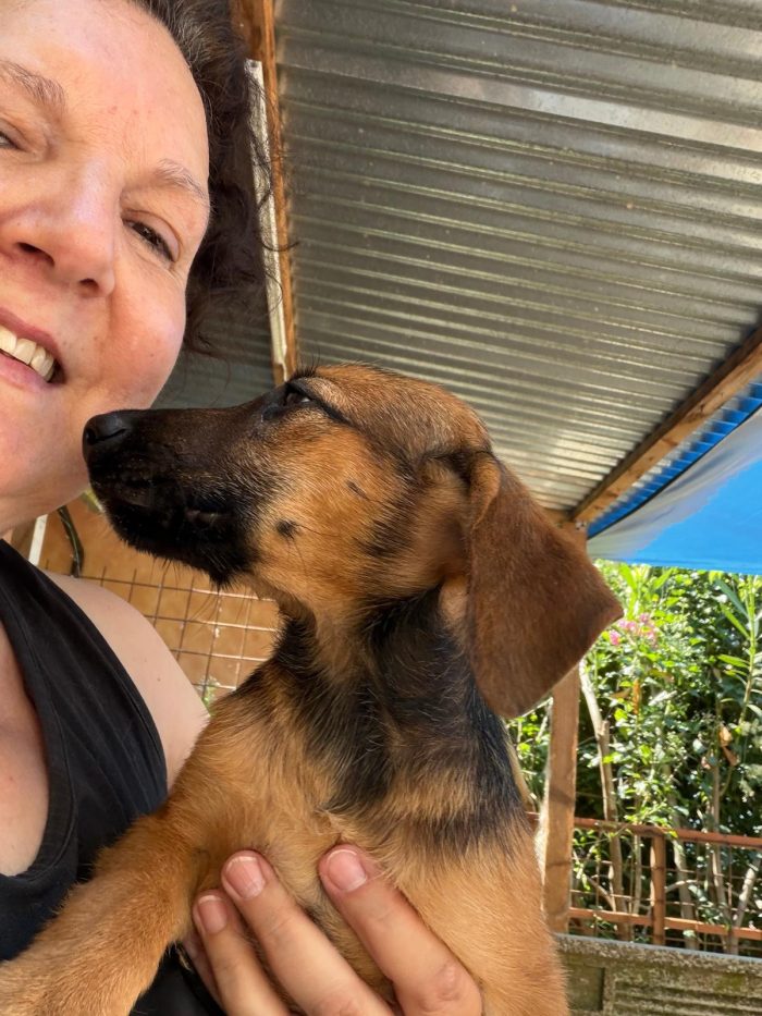 Splendidi cuccioli in adozione taglia medio piccola - media 8