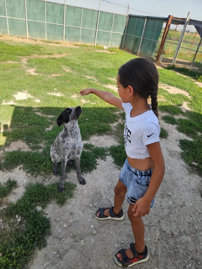 Gioia splendida dolce cucciola cerca casa