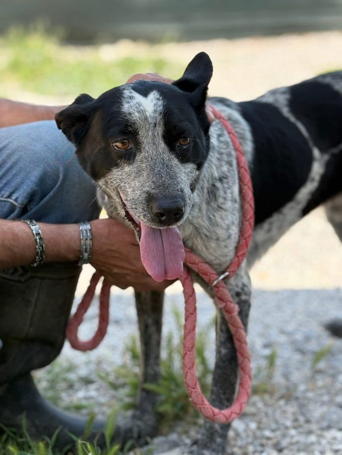 Flora, 17 chili, 2/3 anni, dolce e sana