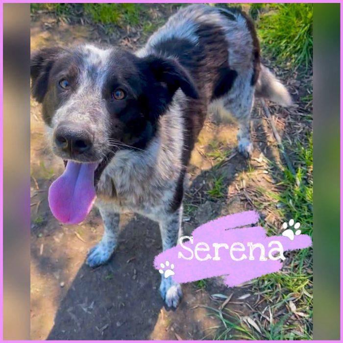 Serena❤️ cerca la mamma