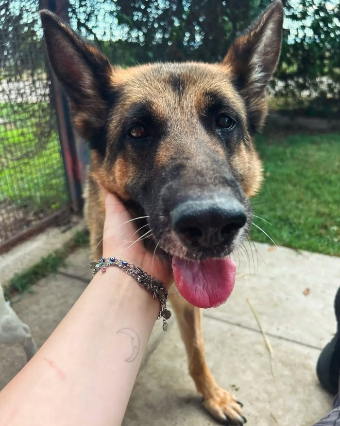 Sara Jane, dolce e giocherellona - media 5