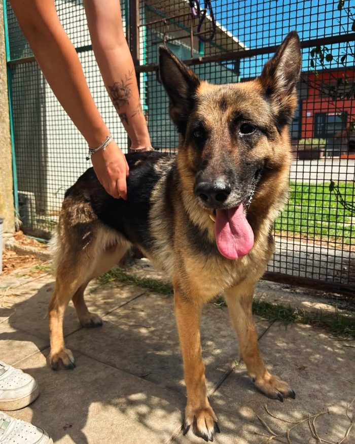 Sara Jane, dolce e giocherellona