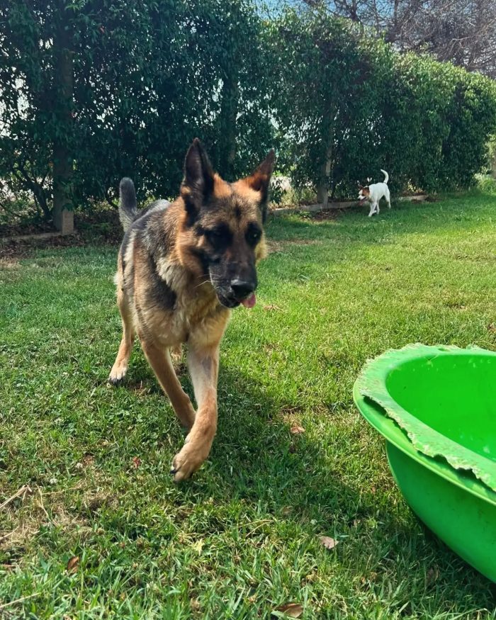 Sara Jane, dolce e giocherellona