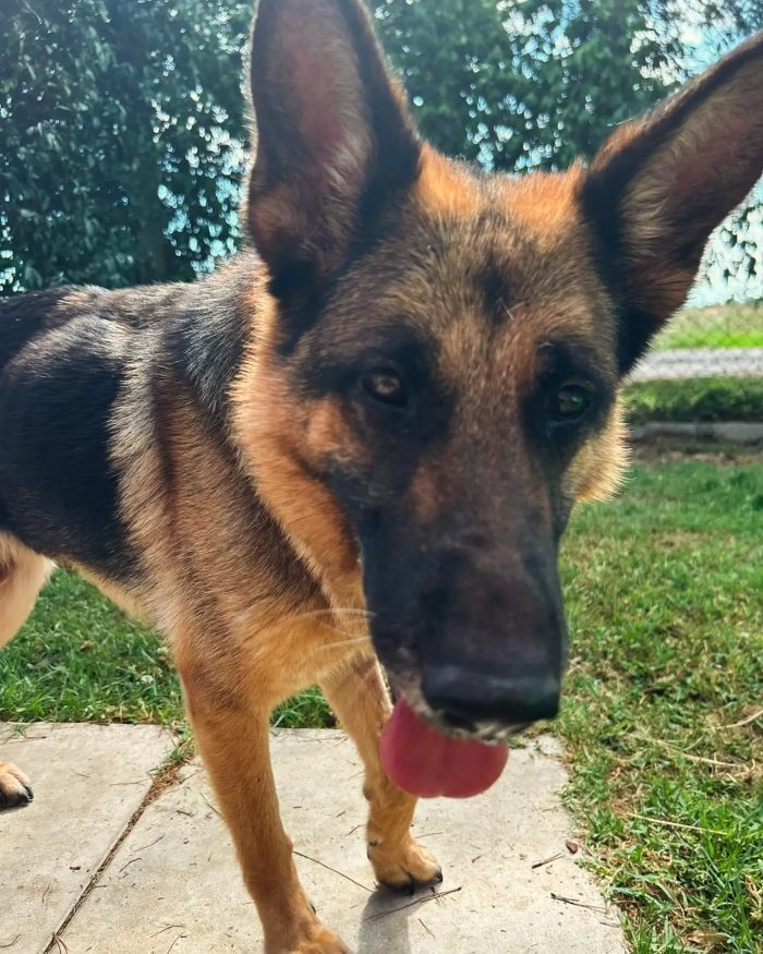 Sara Jane, dolce e giocherellona - media 9
