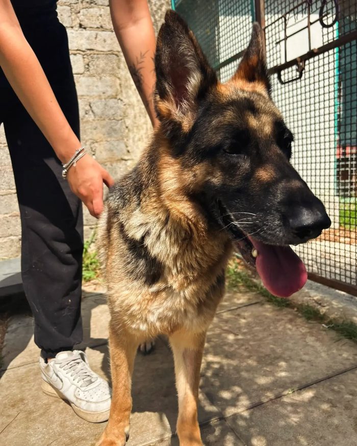 Sara Jane, dolce e giocherellona - media 8