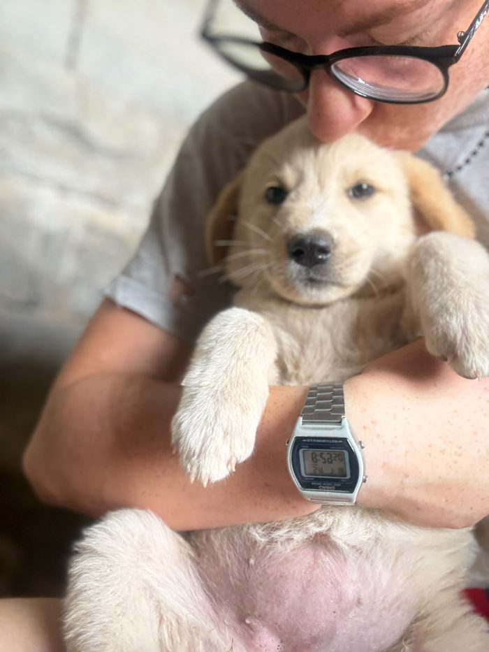 💖🐾 SABBIA DOLCE CUCCIOLA IN ADOZIONE - media 8