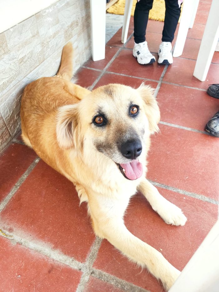 Mamy splendida giovane mammina cerca casa