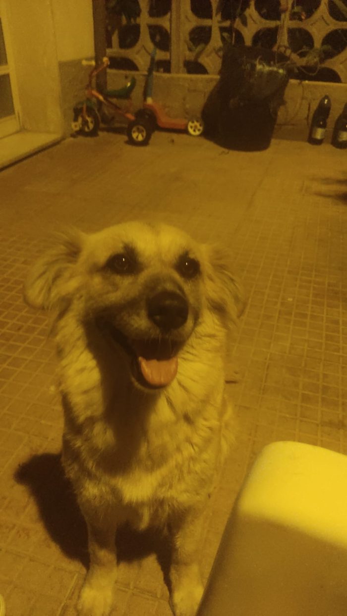 Mamy splendida giovane mammina cerca casa