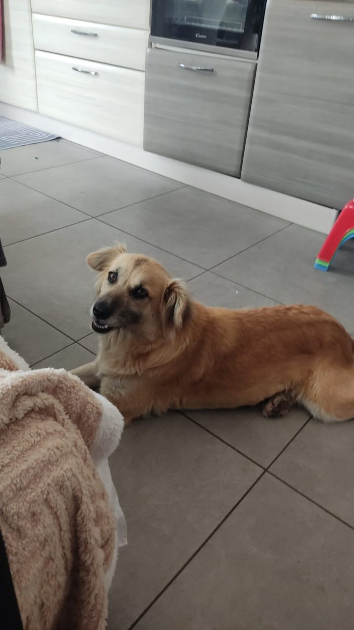Mamy splendida giovane mammina cerca casa