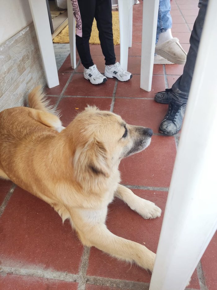 Mamy splendida giovane mammina cerca casa - media 5