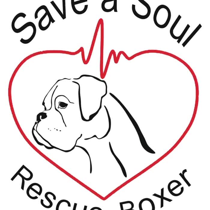 5 cuccioli mix corso boxer in cerca di casa