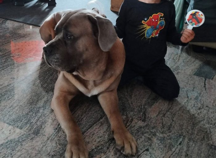 Toretto, buono ed equilibrato