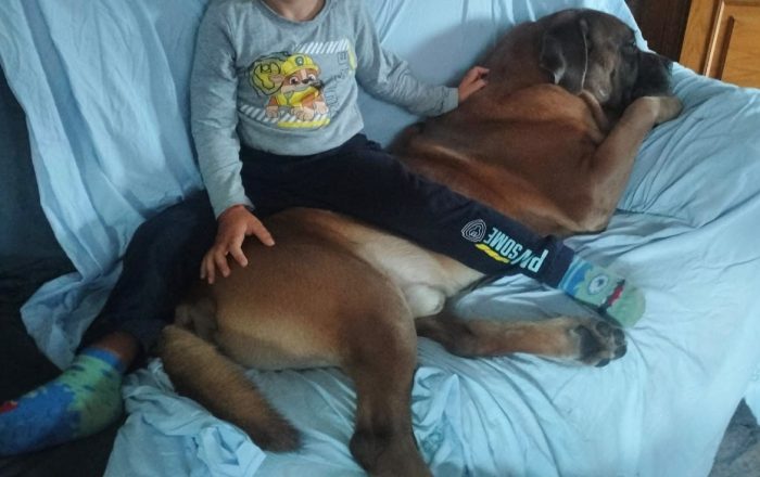 Toretto, buono ed equilibrato