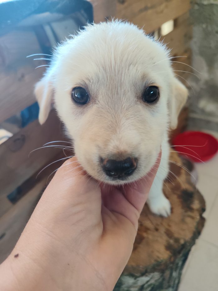 Luna 🌙🌙🌙🌙
