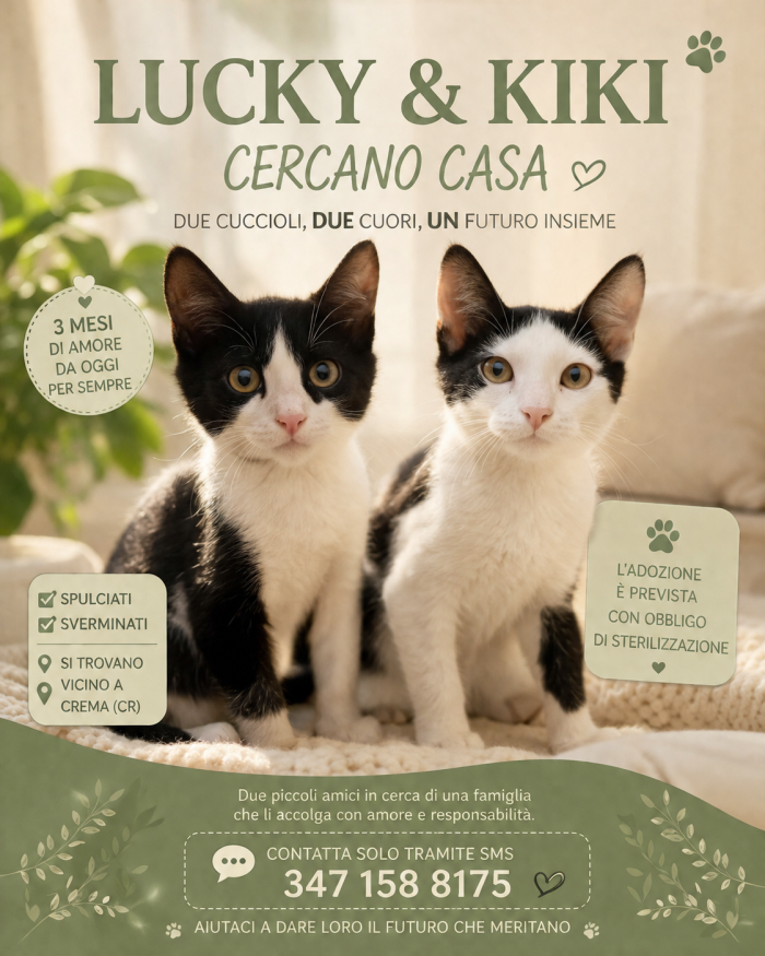 Lucky e Kiki cercano famiglia paziente