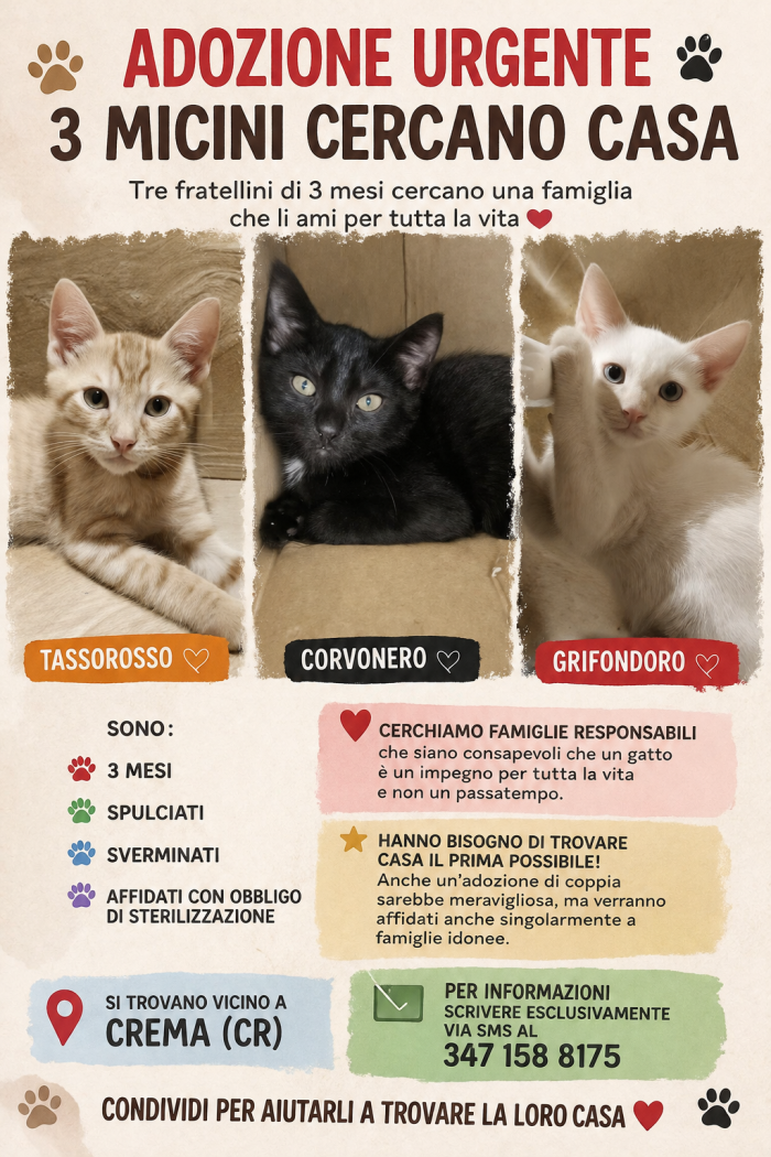 3 fratellini in cerca di casa