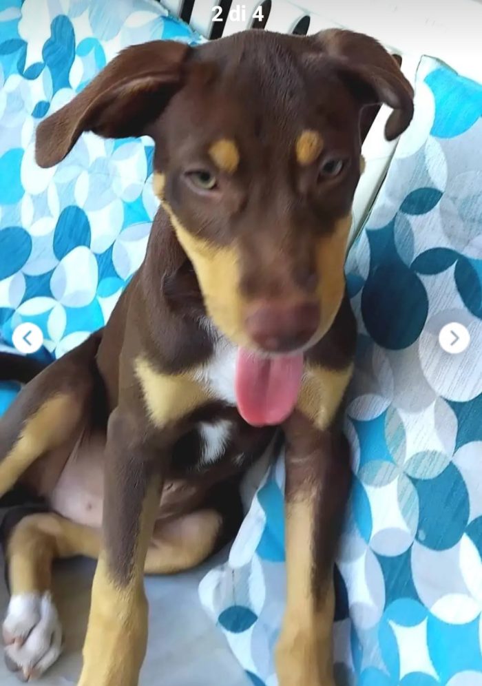 URGENTE 3mesi tg medio piccola futura splendido sos casa.SALERNO