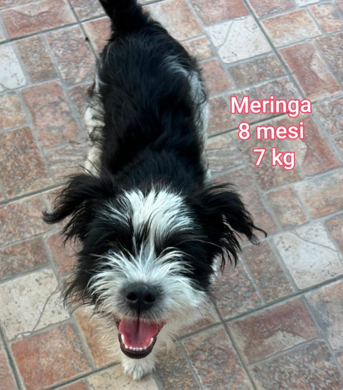 Piccoli dentro il rifugio