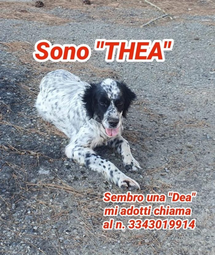 Aspetta da tanto una mamma