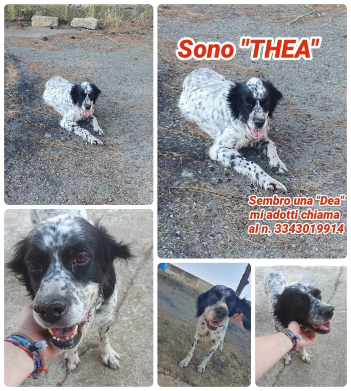 Thea un anima bella ha bisogno di un lieto fine