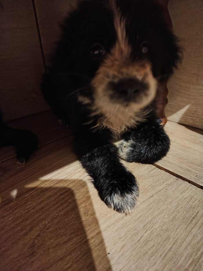 Elena 💕💕💕