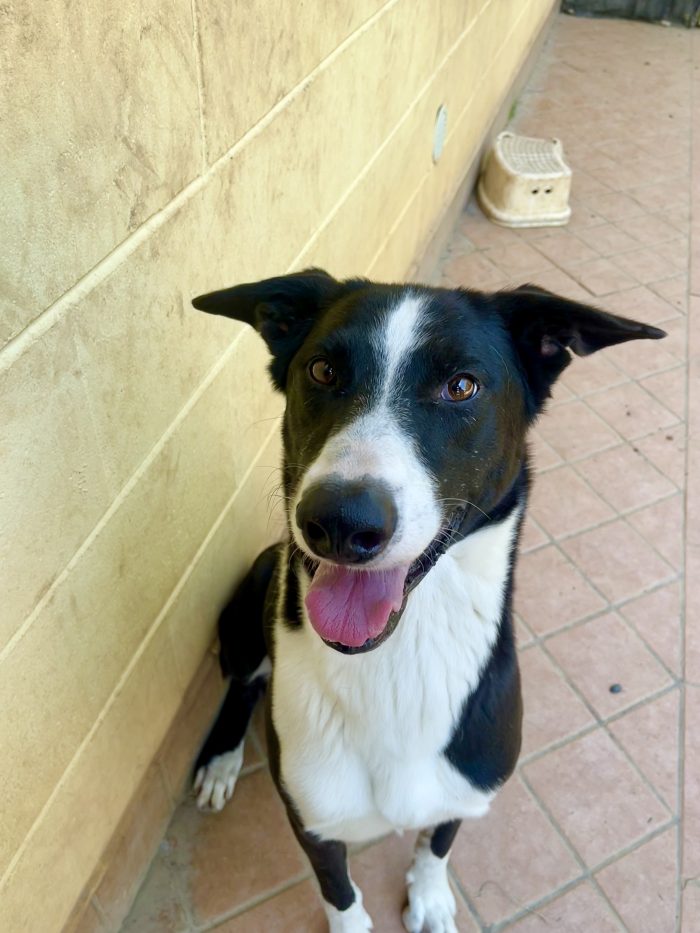 Benjito super coccolone