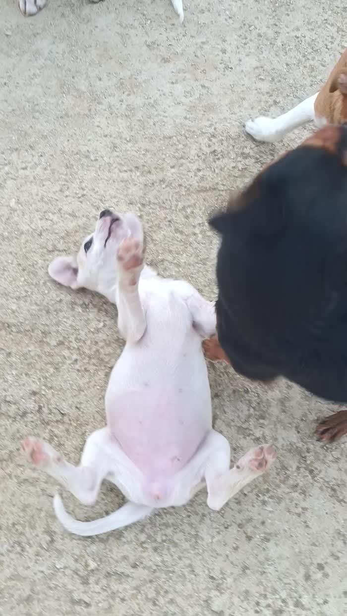 Lilli 3 mesi