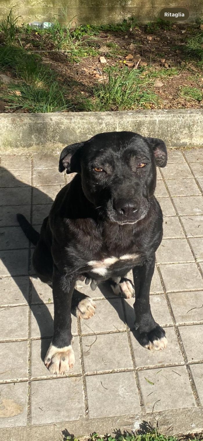 Nerina dopo 7 anni in strada cerca il suo riscatto
