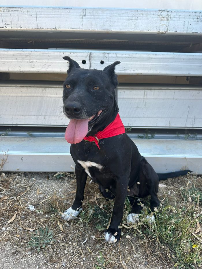 Nerina dopo 7 anni in strada cerca il suo riscatto