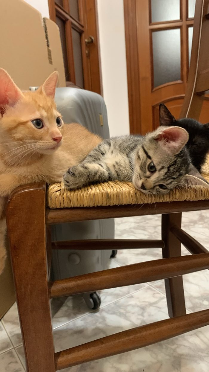 Tiziano e Valentino