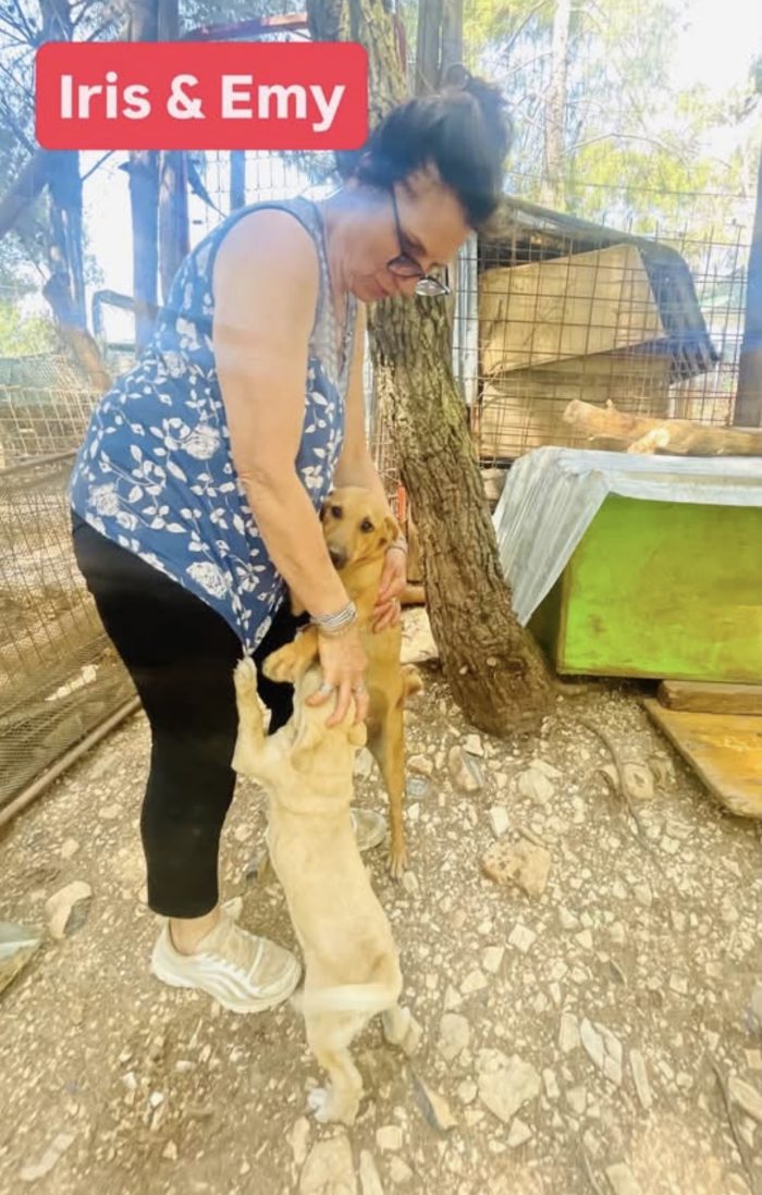 Iris e’ solo una cucciola e resterà sola - media 7