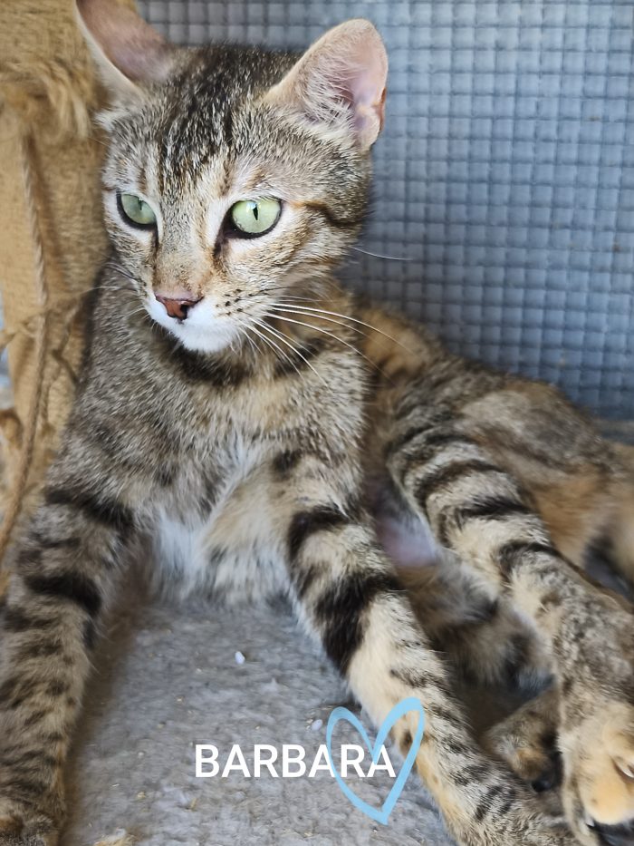 Barbara, una mamma dolcissima