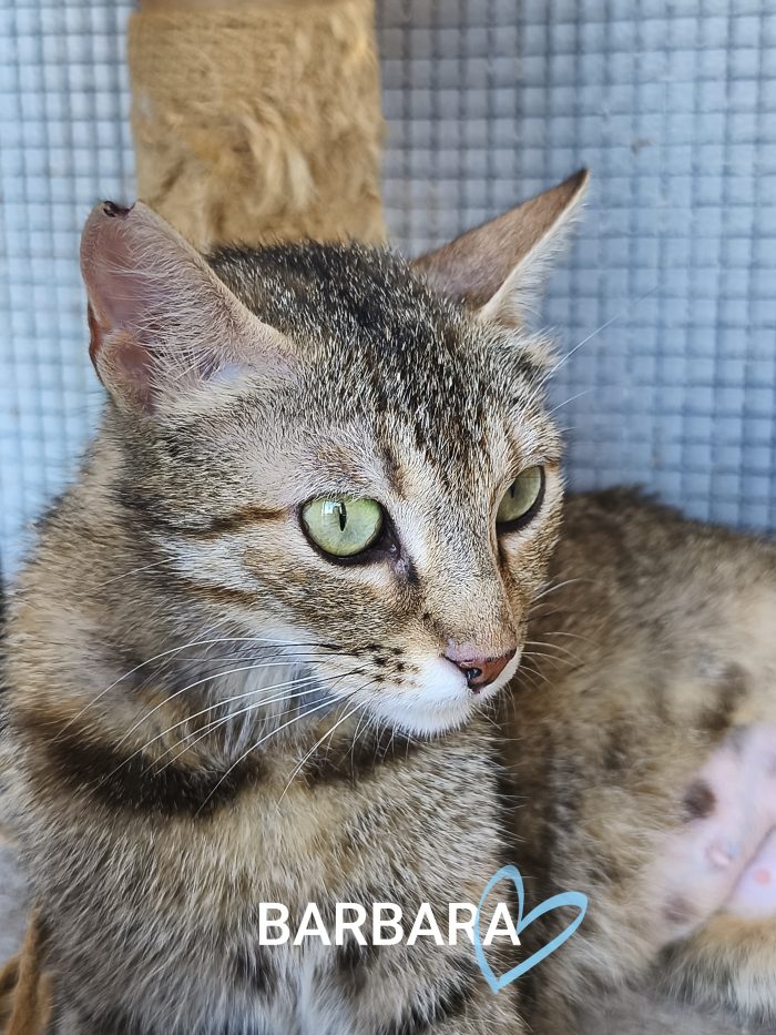 Barbara, una mamma dolcissima