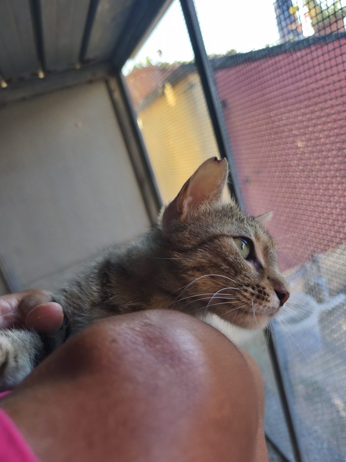 Barbara, una mamma dolcissima