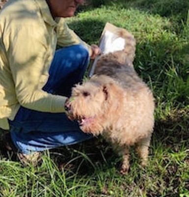 TRULLO SIMIL LAGOTTO CERCA CASA - media 5