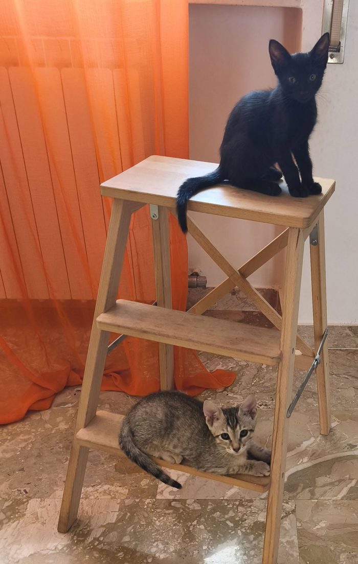lupin e jigen cercano casa