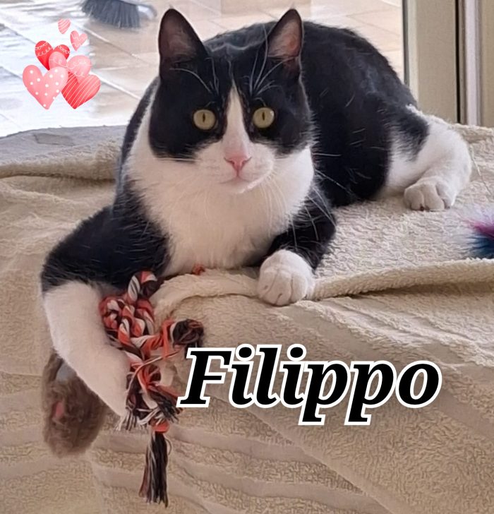 Filippo 1 anno dolce e buono