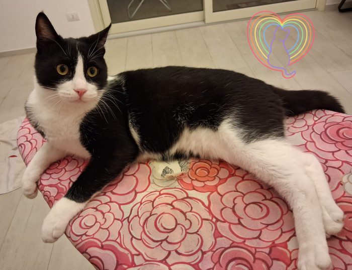 Filippo 1 anno dolce e buono