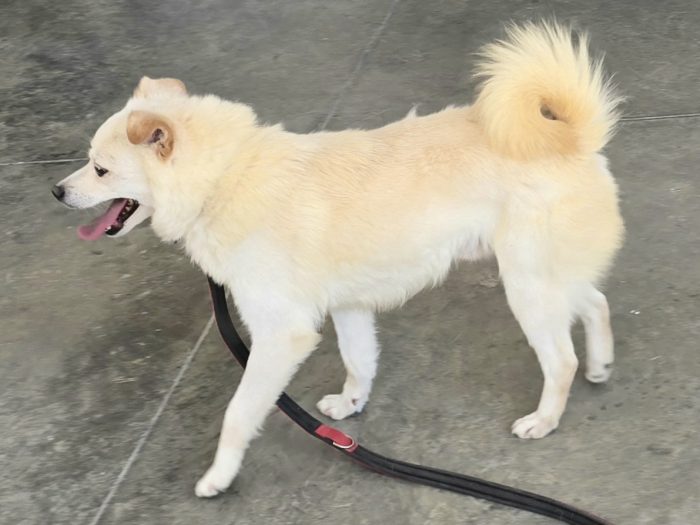 Leon 6 anni Taglia piccola