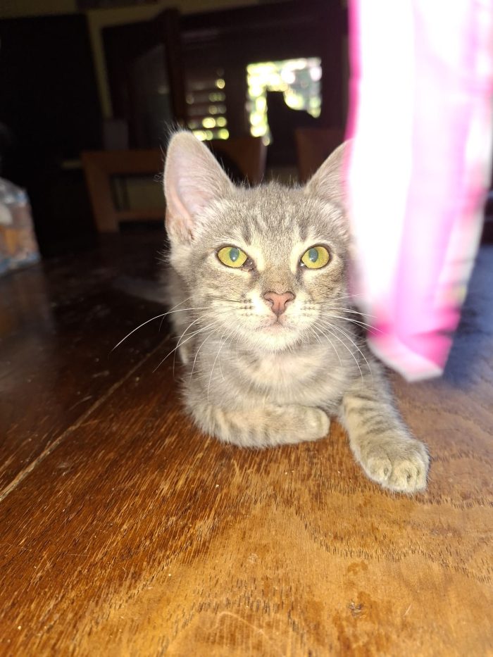 Sugar cerca casa ❣️
