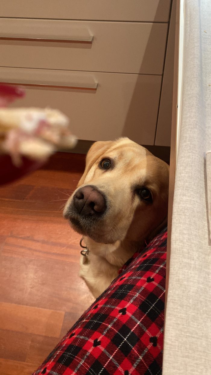 Artú cerca casa e amore